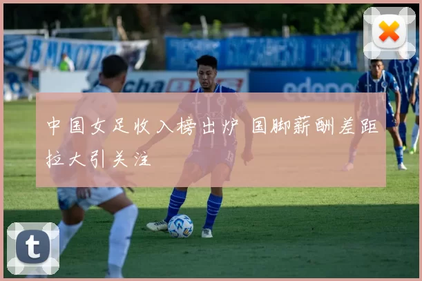 中国女足收入榜出炉 国脚薪酬差距拉大引关注