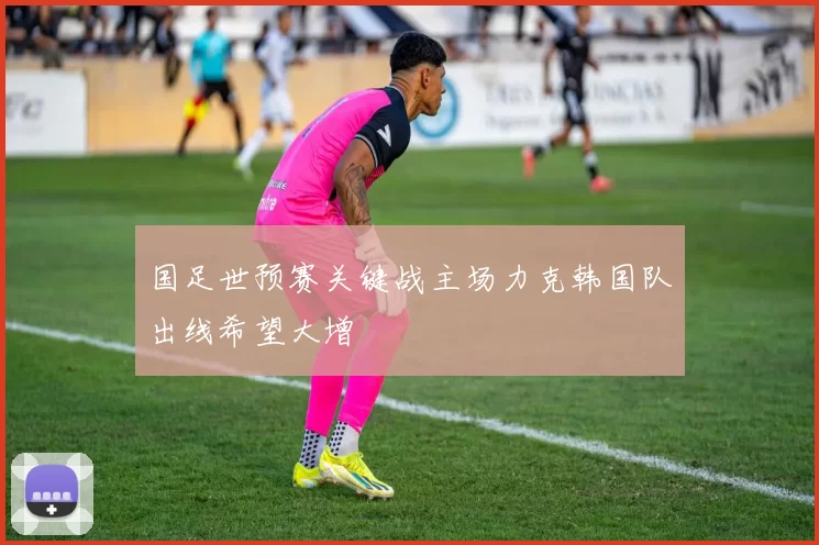 国足世预赛关键战主场力克韩国队出线希望大增
